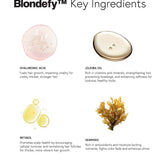 Blond-in Bundle