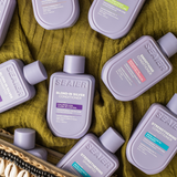 Seaier Sample Holiday Kit